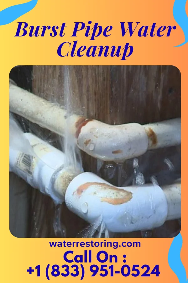 Burst Pipe Water Cleanup in Bunker Hill Village, TX