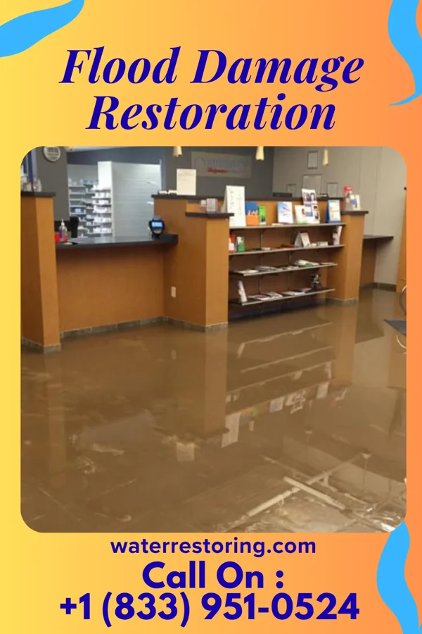 Flood Damage Restoration in Bunker Hill Village, TX
