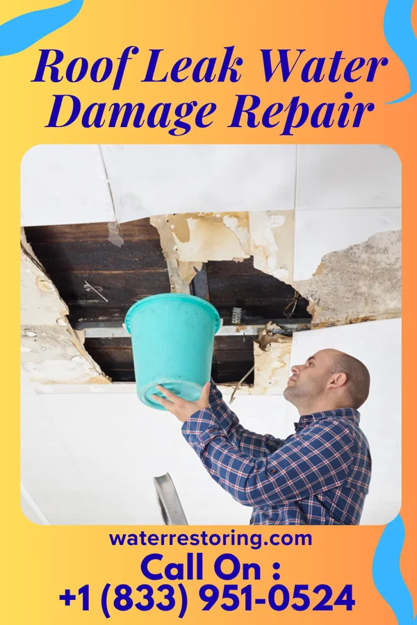 Roof Leak Water Damage Repair in Bunker Hill Village, TX